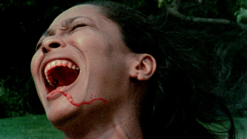 Bill Gunn’s Afro-Surrealist Film ‘Ganja & Hess’ Paved the Way For Black Horror
